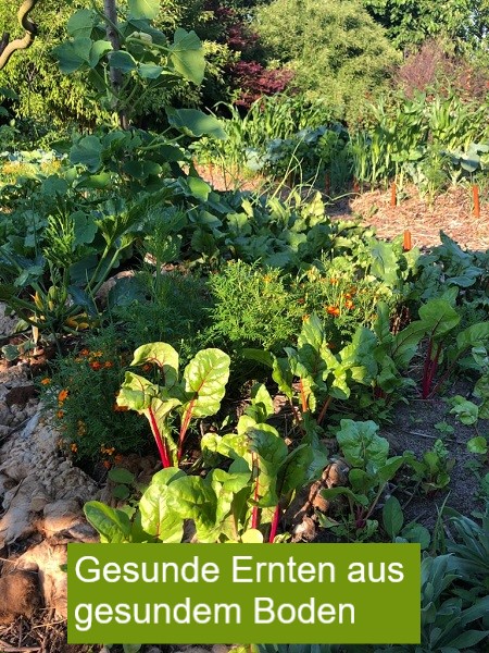 Gemüsegarten